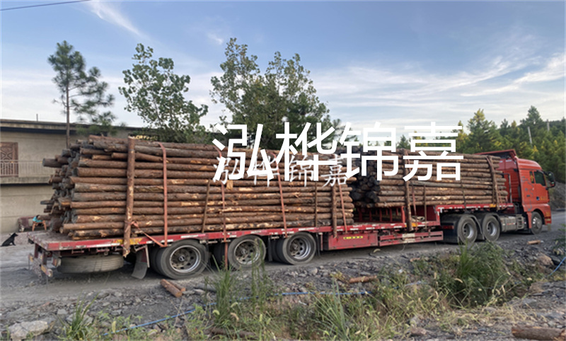 上海護坡松木樁價格多少？從價格、材質、施工等角度分析